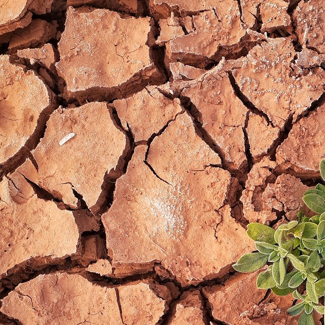 Gesunde Ozeane als Klimalösung