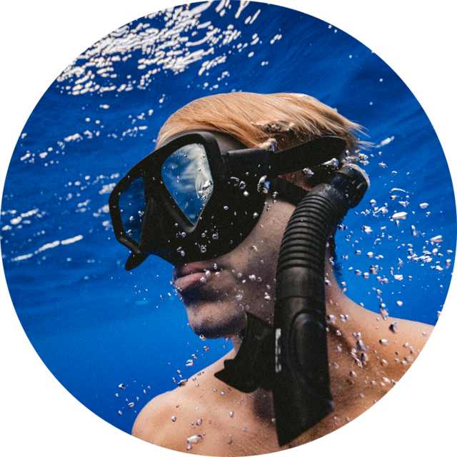 Biologische Vielfalt im Meer