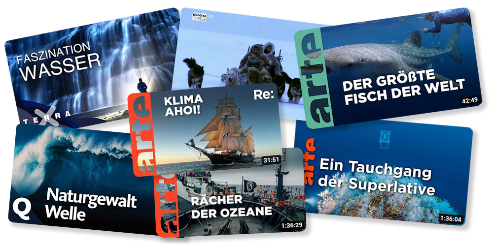 Die Ozeanliebe Medienwelt